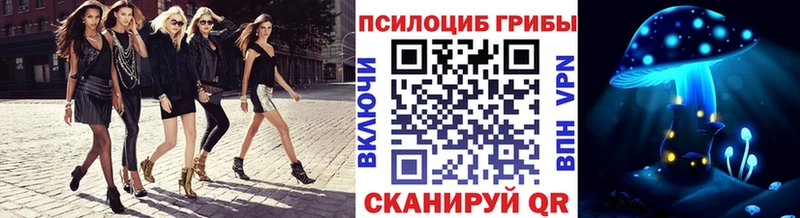 где купить наркоту  Судак  Псилоцибиновые грибы мухоморы 